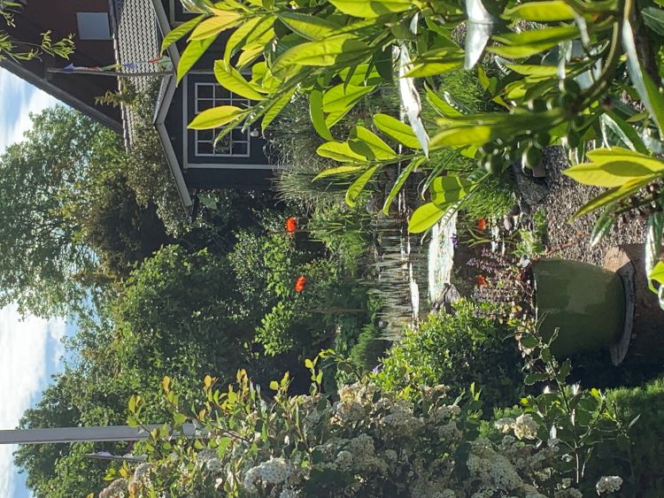 FEWO mit alleiniger Gartennutzung