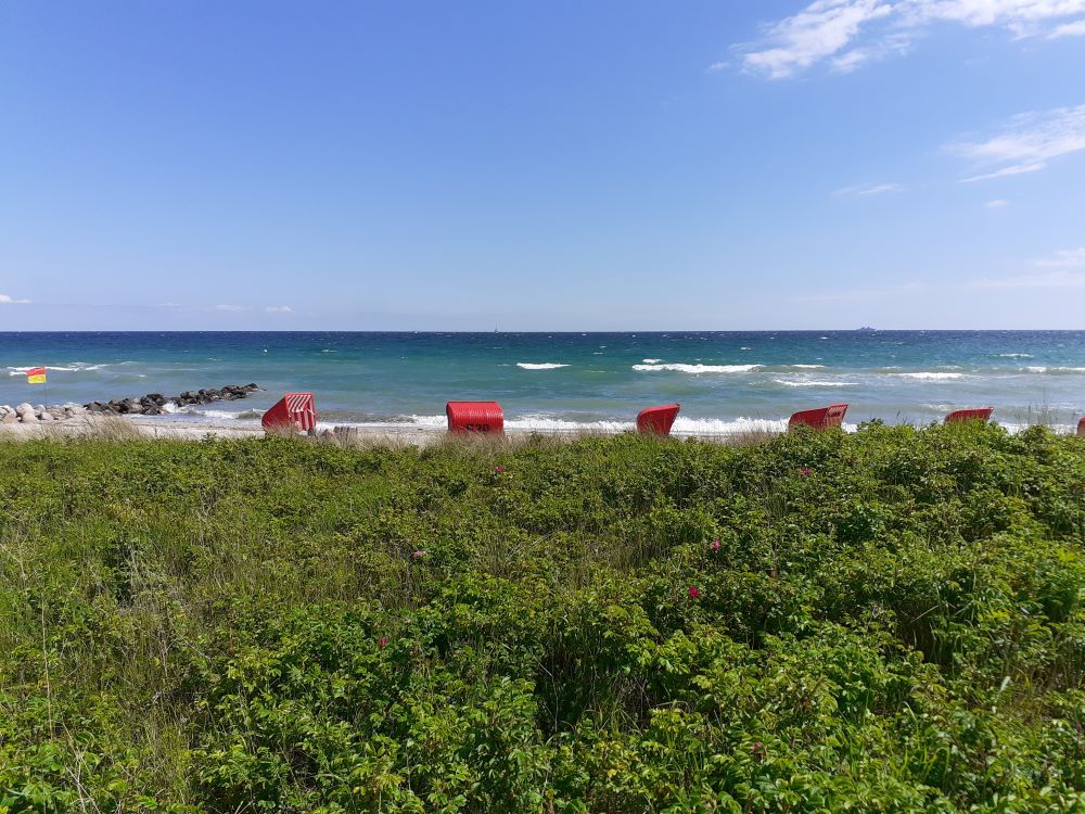 Ostseestrand in Schönhagen (8 km von der FEWO)
