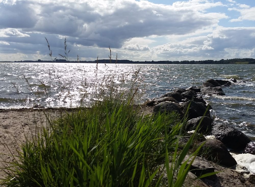 Strandbucht der Schlei in Winnemark