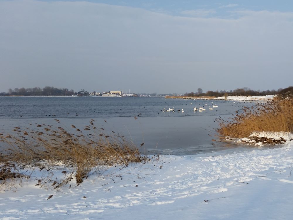 Winterblick nach Arnis